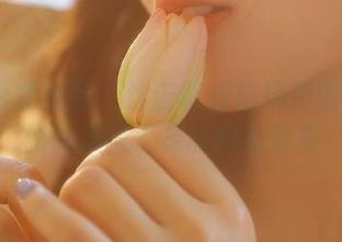 UGirls尤果网 – 沈诺馨旗袍风情图包：优雅气质融汇成的绝美合集