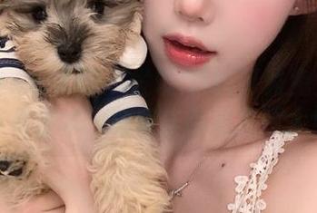 Xiuren秀人网 – 发现Niki可雅兔女郎的写真艺术，独家作品集资源大全