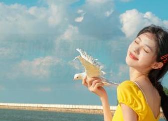 丽柜 – 黄芬的体操服风格写真图册：展现女性力量与优雅