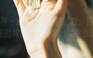 头条女神 – 探索白一晗的图包：白衬衫带来的纯净视觉盛宴，尽在今冬