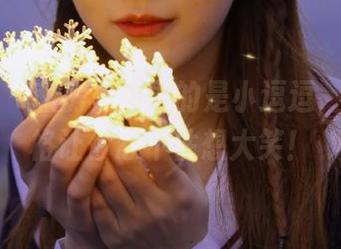 微密圈 – 私房写真界的是小逗逗，透明风格让你忍不住想大笑！
