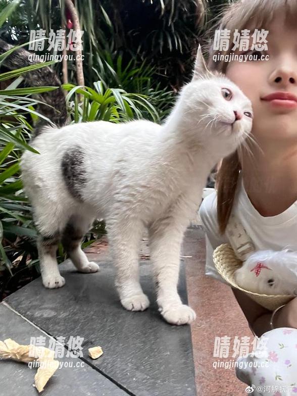 河豚抚子 美图在线!跟随河豚抚子一同探索她的优美足部细节