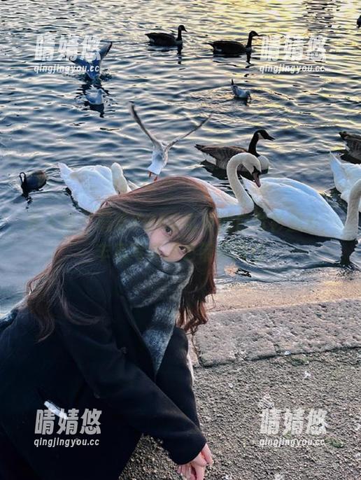 秀人网 - 感受KOKO可可的白衬衫魅力，丰富写真图包带你同行