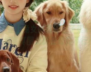 秀人网 – 穿上兔女郎装的星子柒kiki：这一组写真图集真是萌到不行！