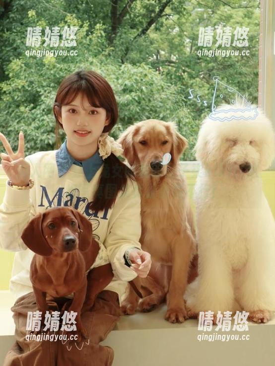 秀人网 - 穿上兔女郎装的星子柒kiki：这一组写真图集真是萌到不行！