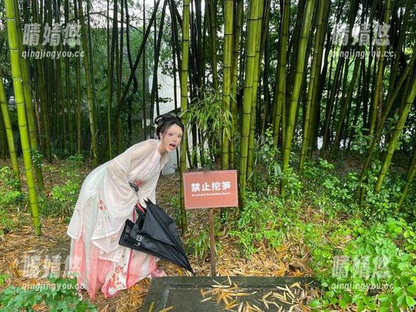 秋和柯基 绝美秋和柯基白裙套图,作品灵动而俏皮,捕捉秋天的幸福瞬间,分享给你!