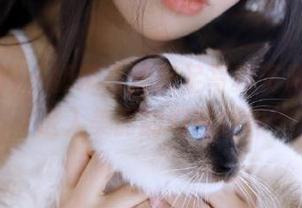 紧急企划 – 奶糖高清美足写真资源，带你进入美丽的幻想世界