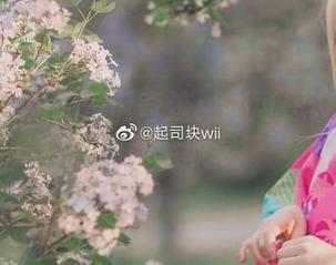 起司块wii的圣诞奇迹：不可思议的图集原图全收录
